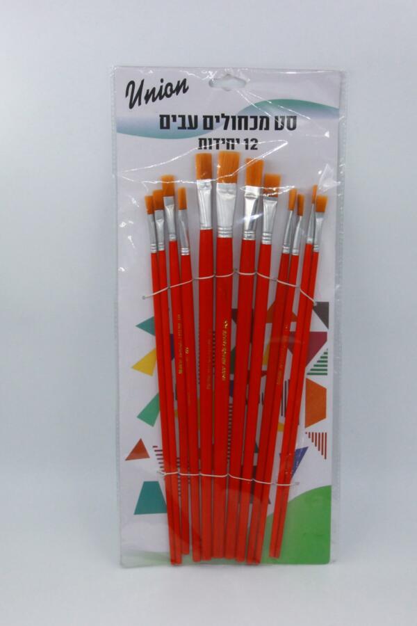 סט מכחולים 10