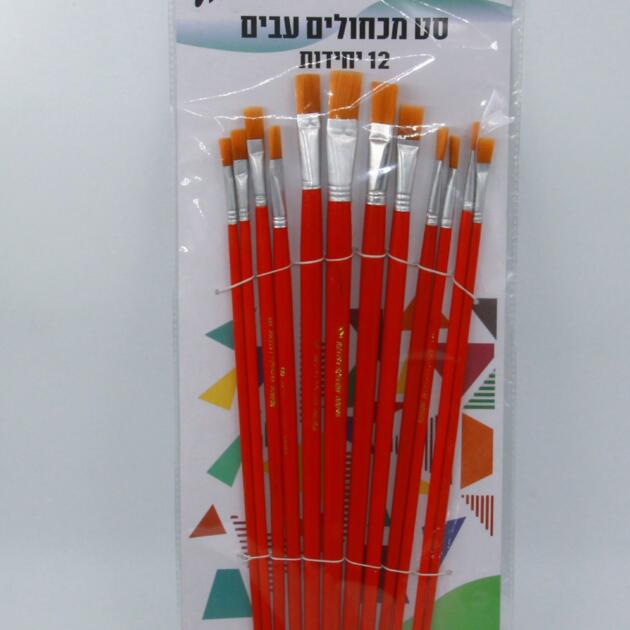 סט מכחולים 10